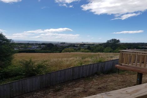 Photo of property in 14 Penny Lane, Richmond, 7020