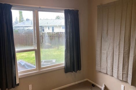 Photo of property in 62 Fitzroy Avenue, Fitzroy, Hamilton, 3206