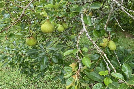 Photo of property in 49 Vista Road, Ohau, Levin, 5570