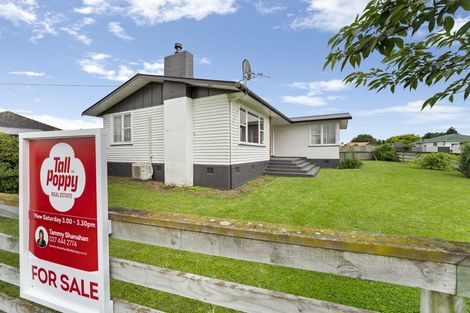 Photo of property in 15 Fox Street, Woodville, 4920