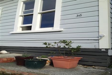 Photo of property in 36 Edinburgh Terrace, Berhampore, Wellington, 6023