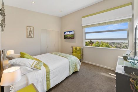 Photo of property in 20 Valhalla Drive, Richmond, 7020