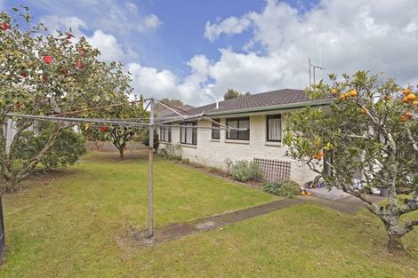 Photo of property in 2 Moehau Street, Te Puke, 3119