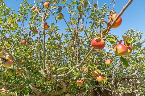 Photo of property in 4 Adam Lile Drive, Highlands Park, New Plymouth, 4312