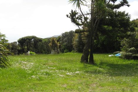 Photo of property in 19 Te Ahuahu Road, Piha, 0772