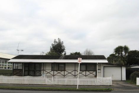 Photo of property in 956a Heaphy Terrace, Fairfield, Hamilton, 3214