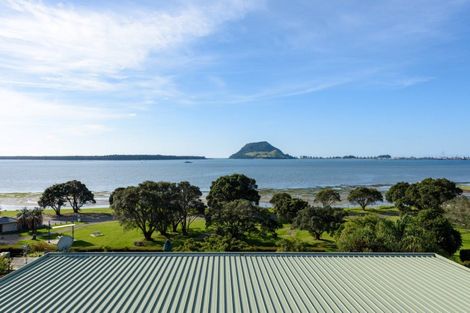 Photo of property in 163 Ngatai Road, Otumoetai, Tauranga, 3110