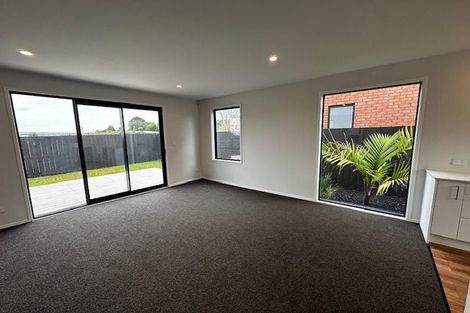 Photo of property in 4 Huljich Way, Hobsonville, Auckland, 0616