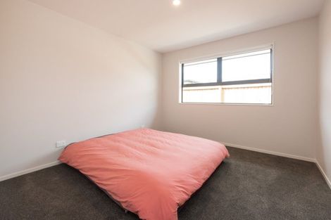 Photo of property in 113a Old Renwick Road, Springlands, Blenheim, 7201