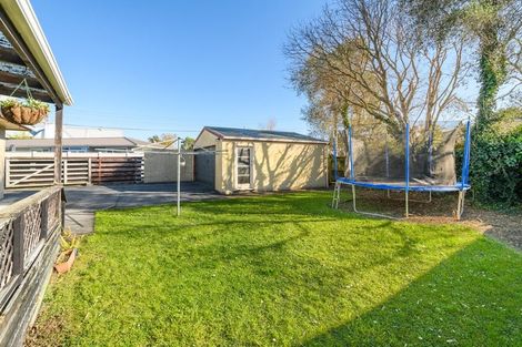 Photo of property in 510 Ruahine Street, Hokowhitu, Palmerston North, 4410