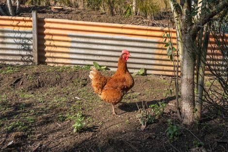 Photo of property in 1b Goodwin Street, Waihola, Milton, 9073