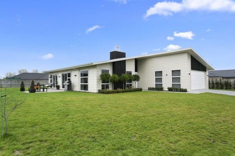 Photo of property in 8 Kelso Place, Matamata, 3400