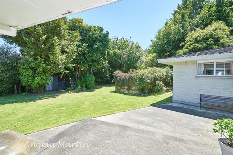 Photo of property in 41 Humphries Place, Awapuni, Palmerston North, 4412