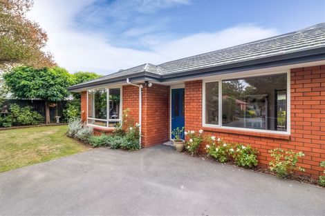 Photo of property in 3 Nina Lane, Somerfield, Christchurch, 8024