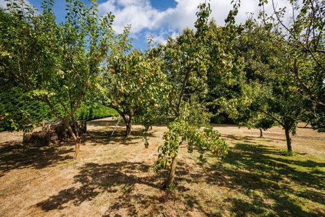 Photo of property in 521 Pohangina Road, Pohangina, Ashhurst, 4884