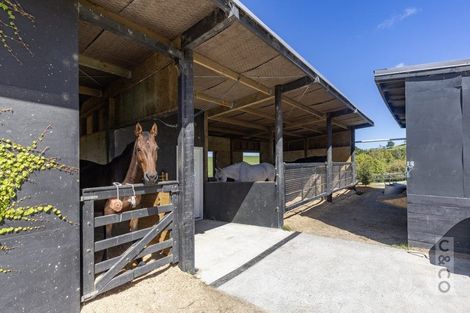 Photo of property in 349 Fordyce Road, Helensville, 0874