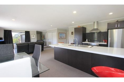 Photo of property in 14 Mcisaac Place, Renwick, 7204