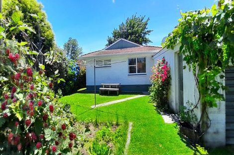 Photo of property in 272b Clyde Street, Hamilton East, Hamilton, 3216