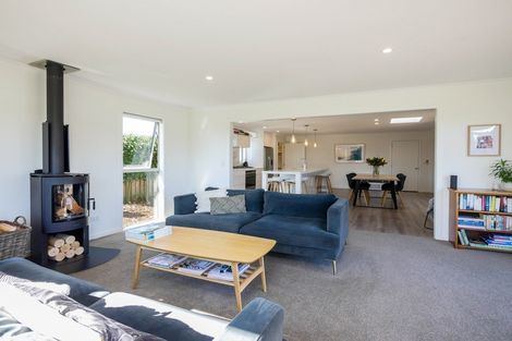 Photo of property in 3 White Hart Lane, Mosgiel, 9024