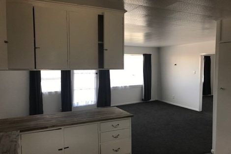 Photo of property in 133 Malfroy Road, Victoria, Rotorua, 3010