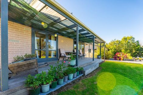 Photo of property in 263 Downs Road, Geraldine Downs, Geraldine, 7991
