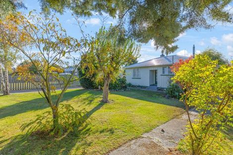 Photo of property in 7 Quinlivan Street, Hawarden, 7385