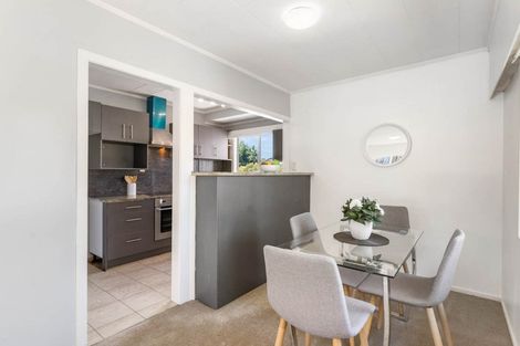 Photo of property in 64 Parker Avenue, Levin, 5510