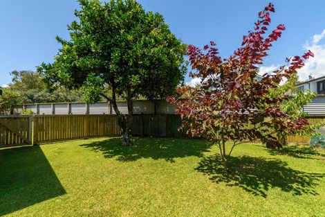 Photo of property in 55 Kings Avenue, Matua, Tauranga, 3110