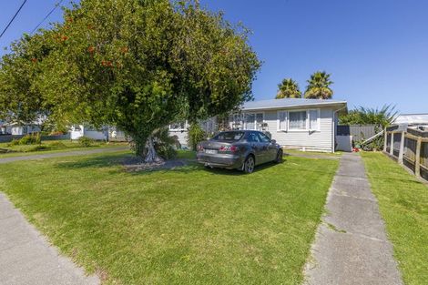 Photo of property in 17 Gilray Avenue, Maraenui, Napier, 4110