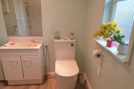 Photo of property in 23 Dudley Street, Levin, 5510