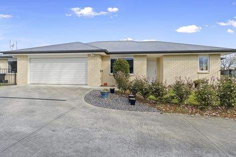 Photo of property in 6 Moore Street, Leamington, Cambridge, 3432