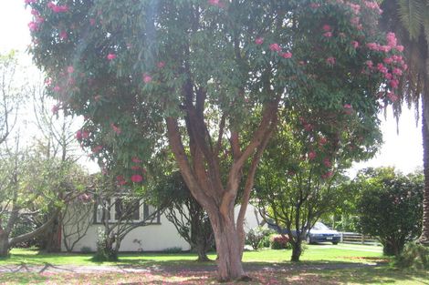 Photo of property in 40 Lynmore Avenue, Lynmore, Rotorua, 3010