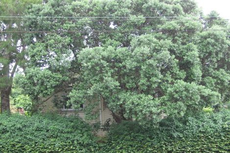 Photo of property in 108 Richardson Road, Mount Albert, Auckland, 1025