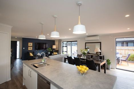 Photo of property in 14 Monarch Drive, Ashhurst, 4810