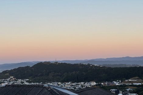 Photo of property in 71 Washington Avenue, Brooklyn, Wellington, 6021