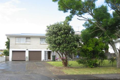 Photo of property in 20 Tatariki Street, Rosehill, Papakura, 2113