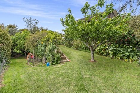 Photo of property in 117 Haukore Street, Hairini, Tauranga, 3112