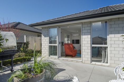 Photo of property in 9 Askew Lane, Pyes Pa, Tauranga, 3112