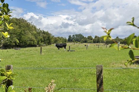 Photo of property in 49 Lepper Road, Inglewood, 4386