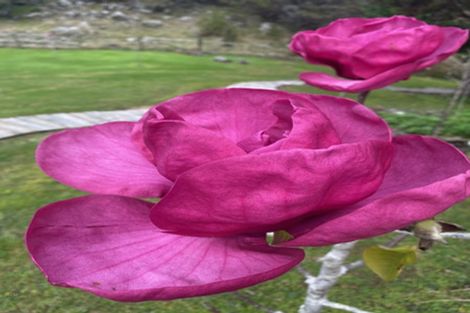 Photo of property in 35 Davis Strongman Place, Kerikeri, 0293