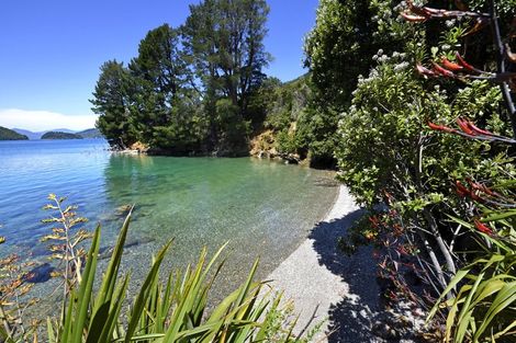 Photo of property in 256 Elaine Bay, Elaine Bay, French Pass, 7193