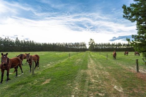 Photo of property in 465 Burnham School Road, Burnham, Christchurch, 7677