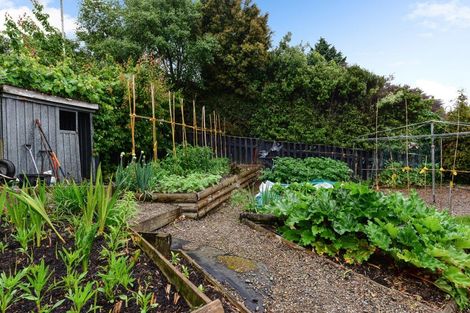 Photo of property in 92 Poaka Avenue, Dinsdale, Hamilton, 3204