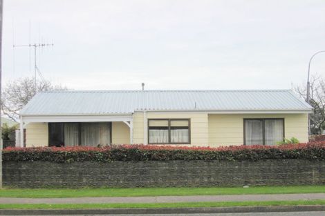 Photo of property in 93 Parker Avenue, Levin, 5510