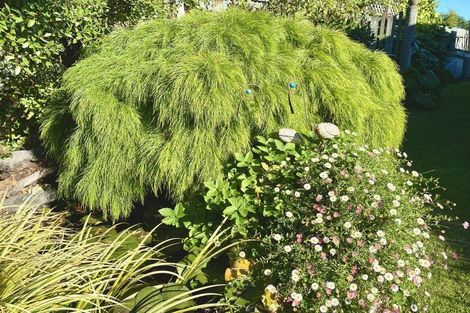 Photo of property in 102 Pacific Drive, Southbridge, Leeston, 7683