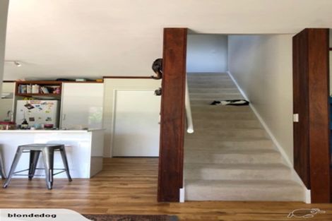 Photo of property in 4 School House Lane, Whitianga, 3510