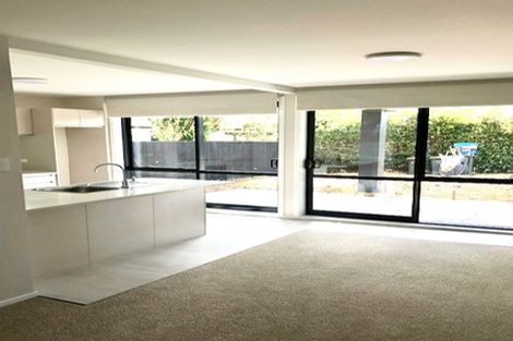 Photo of property in 1/162 Gowing Drive, Meadowbank, Auckland, 1072