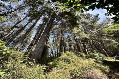 Photo of property in 13 Okuti Valley Road, Little River, 7591