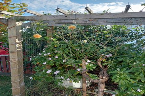 Photo of property in 19 Balmoral Street, Levin, 5510