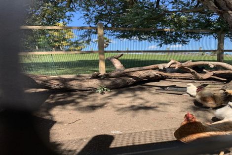 Photo of property in 83 Whitford Park Road, Whitford, Manurewa, 2576